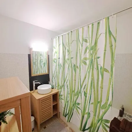 Charmant-appartement-centre-ville Апартаменты *